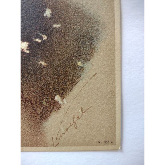 Victorian Art Print Women In Veil Hat Fur Hat Lithograph 1909 Original L Knoefel - Picture 4 of 5